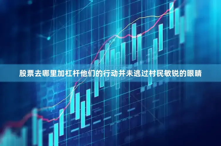 股票去哪里加杠杆他们的行动并未逃过村民敏锐的眼睛